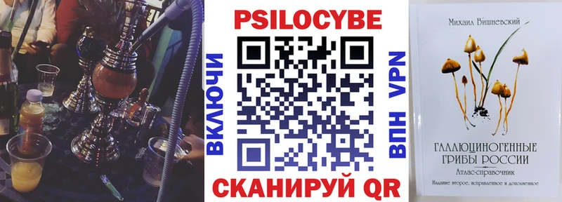 Псилоцибиновые грибы Psilocybe дарнет шоп Электрогорск