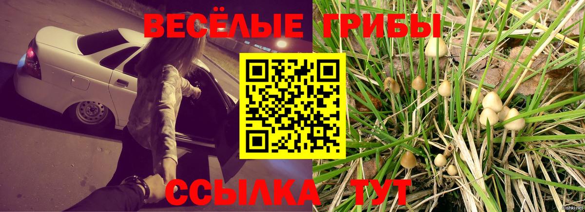 Галлюциногенные грибы Psilocybe  Псилоцибиновые грибы мухоморы  Вход с VPN  Электрогорск 